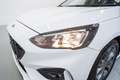 Ford Focus Sportbreak 1.0 Ecoboost Trend Edition Blanc - thumbnail 10
