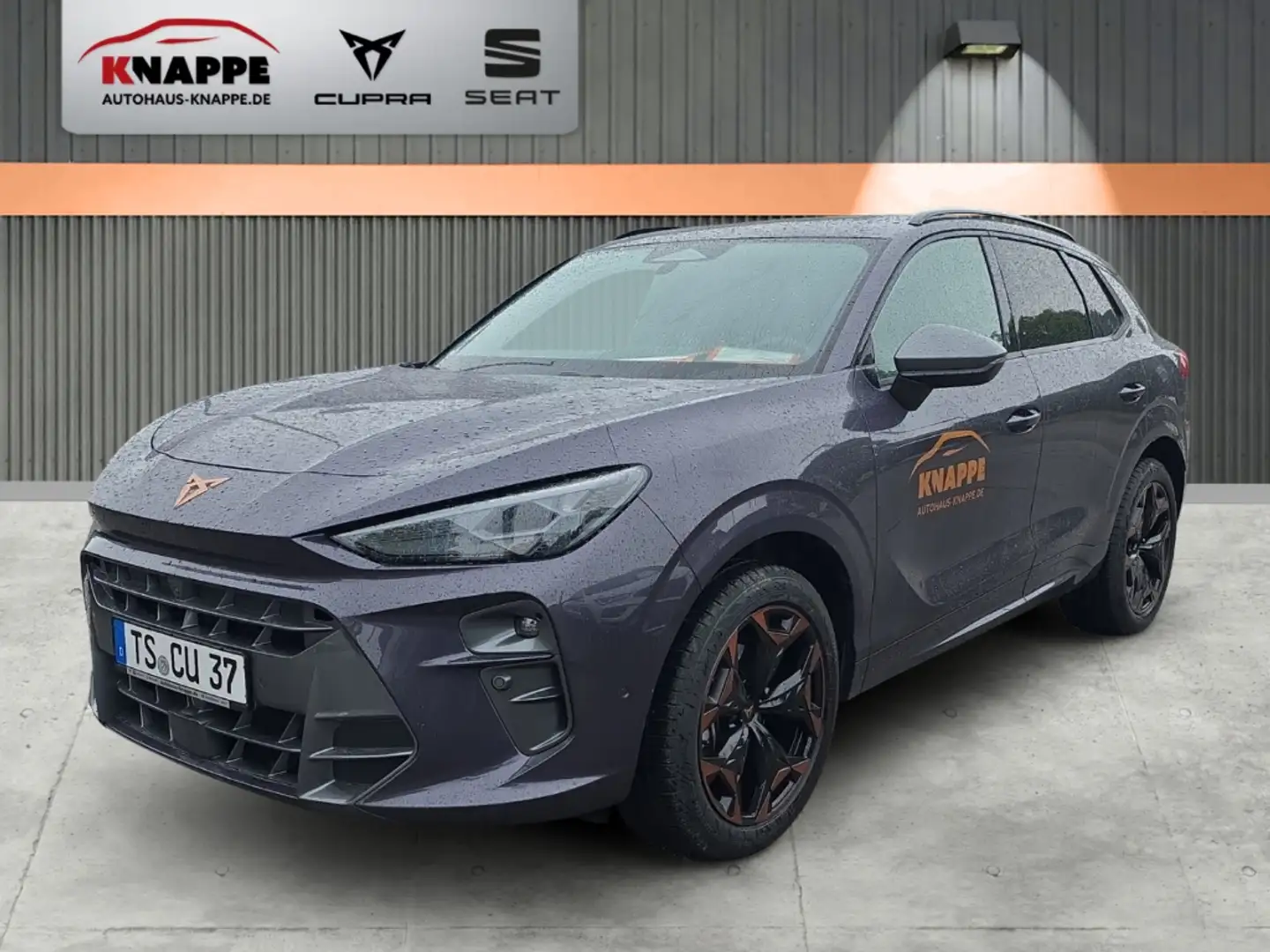 CUPRA Terramar 1.5 eTSI DSG Sennheiser Panorama AHK Dinamica Violett - 1