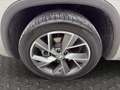 Skoda Kodiaq 2,0 TDI Sportline DSG AHK CAM MEMORY ACC MATRIX... Grau - thumbnail 20