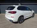 BMW X5 xDr. 45e MSport, HuD, ACC, 360°, Keyless Go Weiß - thumbnail 8