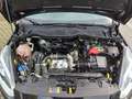 Ford Fiesta Fiesta 5p 1.5 ecoblue Business 85cv my20.25 - thumbnail 11