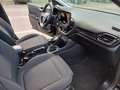 Ford Fiesta Fiesta 5p 1.5 ecoblue Business 85cv my20.25 - thumbnail 24