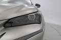 Lexus NX 300h NXH PREMIUM 2.5 HYBRID 197 CV AUTO 5P 2WD - thumbnail 23