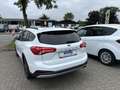 Ford Focus Turnier Active Weiß - thumbnail 3