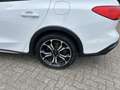 Ford Focus Turnier Active Weiß - thumbnail 4
