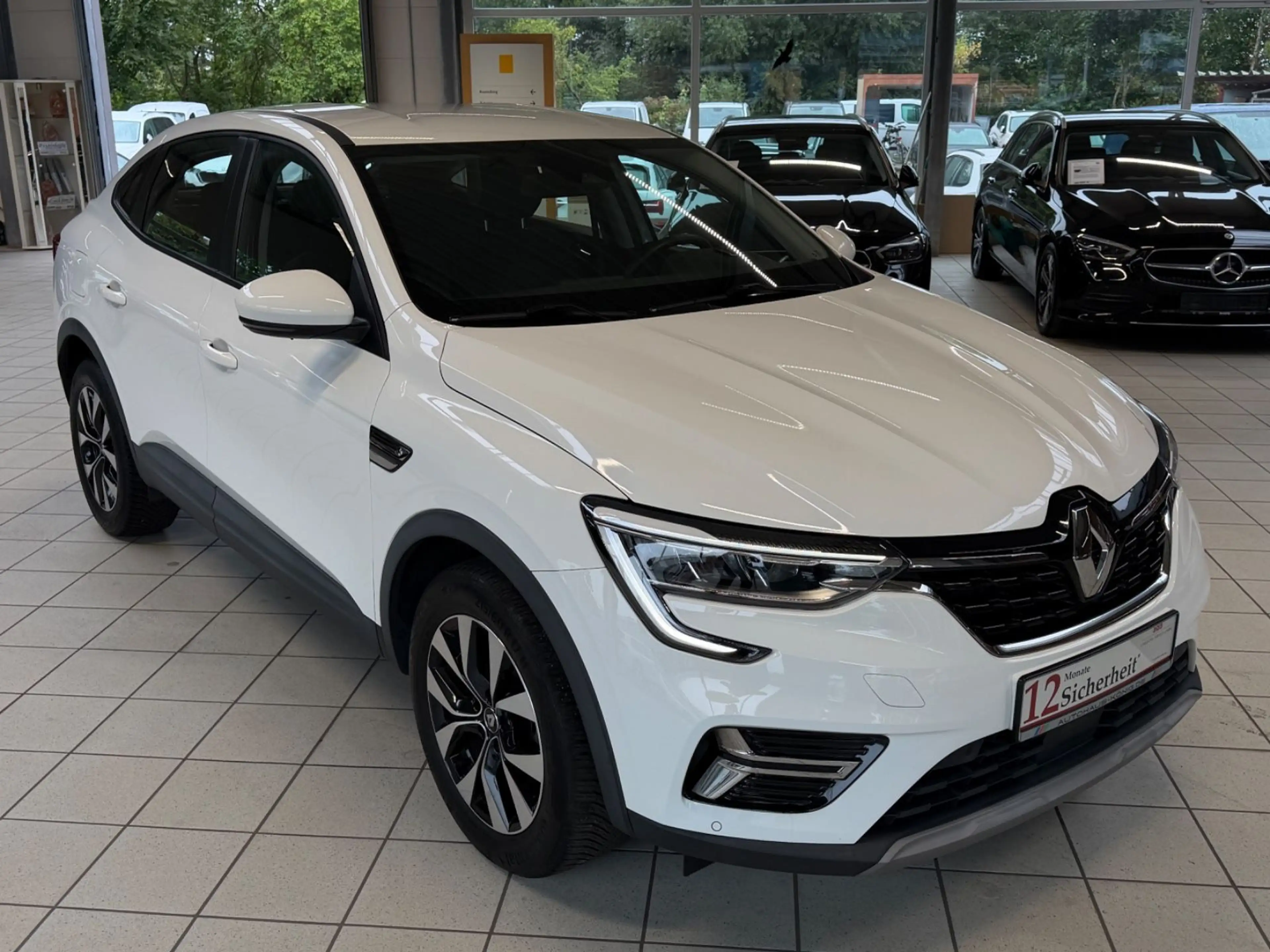 Renault Arkana Zen TCE 140 EDC/R-Cam/LED/Spur/Klima — photo 10