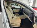 Audi A4 allroad 45 TFSI quattro-ultra S tronic Blanco - thumbnail 25