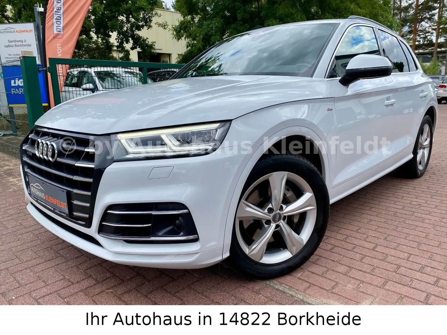 Audi Q5 55 TFSI e quattro sport S-line|MATRIX LED|AHK Weiß - 2