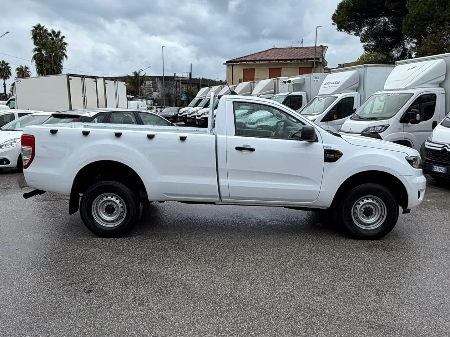 Ford Ranger 2.0EcoBlue 170cv XL 4WD PICK UP Anno 2021 Bianco - 2