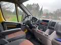 Fiat Ducato 2.3l H2/L4 Klima Tüv=Neu! Kasten 35-120 Gelb - thumbnail 10