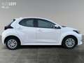 Toyota Yaris 1.5 Comfort +Allwetter+Kamera+Carplay+ Blanc - thumbnail 5