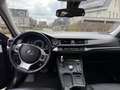 Lexus CT 200h 200h Business Line Nero - thumbnail 12