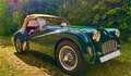 Triumph TR3 Petite bouche Grün - thumbnail 8