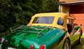 Triumph TR3 Petite bouche Grün - thumbnail 4