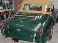Triumph TR3 Petite bouche Grün - thumbnail 17