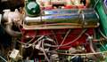 Triumph TR3 Petite bouche Grün - thumbnail 14