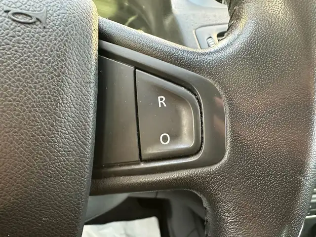 Renault Megane view 14