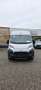 Toyota Proace Max L3H2 Weiß - thumbnail 2