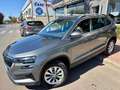 Skoda Karoq 2.0TDI Adblue Ambition 85kW Gris - thumbnail 1