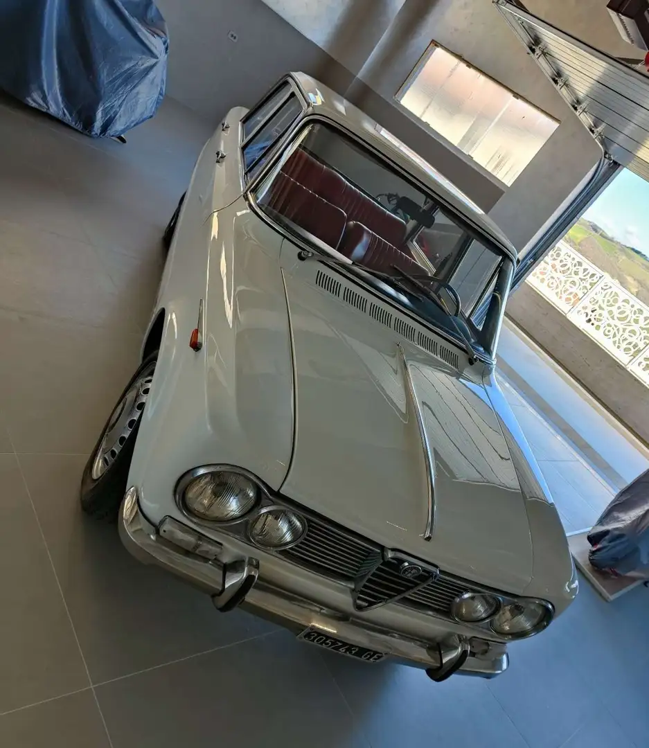 Alfa Romeo Giulia Giulia Super Bollino Oro 1600 - 1