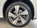 Audi Q2 2.0 TDI quattro S tronic //LED/NAVI/BLUETOOTH Bianco - thumbnail 7