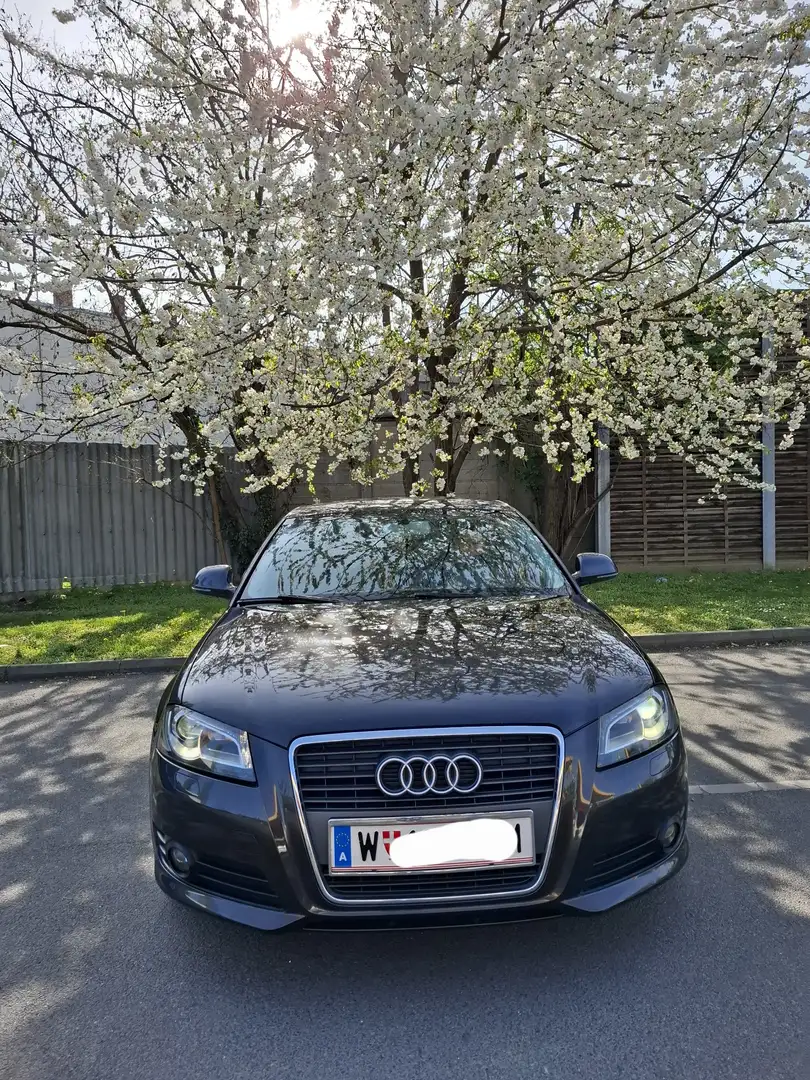 Audi A3 Ambition 1,6 TDI - 1