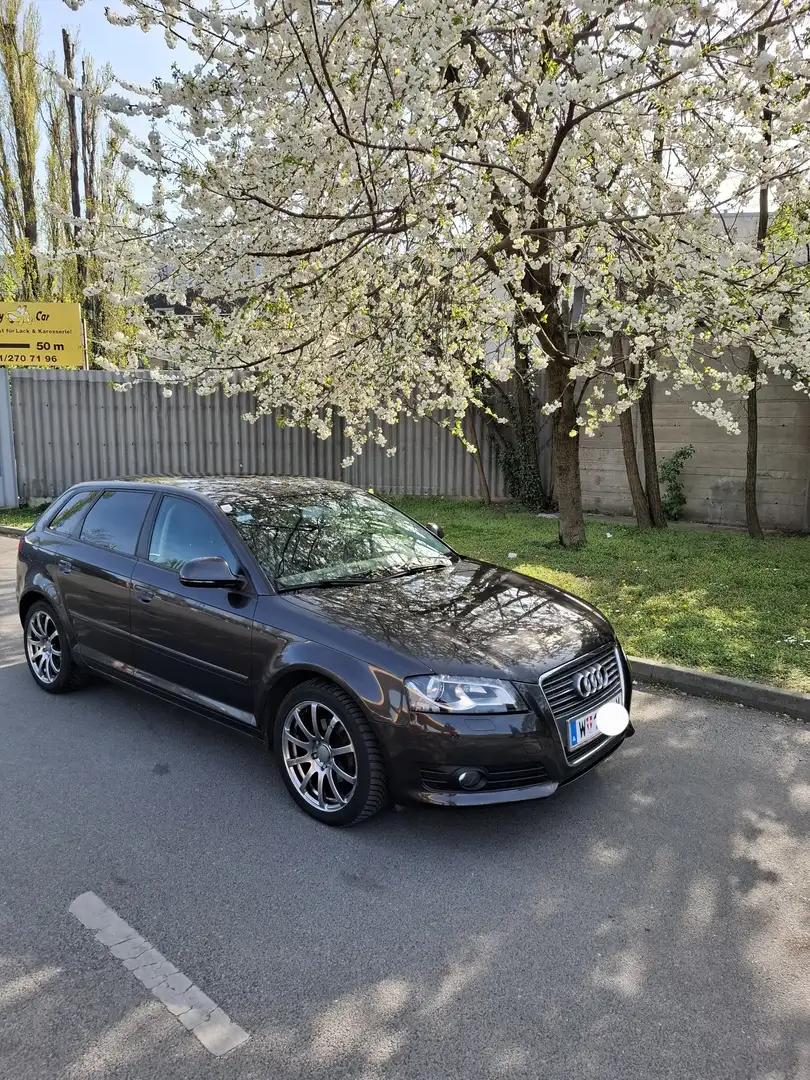 Audi A3 Ambition 1,6 TDI - 2