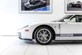 Ford GT USA 101 Edition ~Munsterhuis Sportscars~ Wit - thumbnail 18