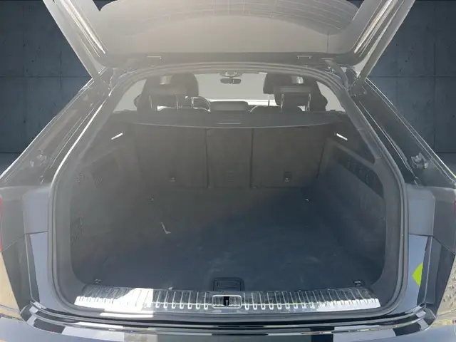 Audi Q8 view 13