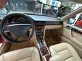 Mercedes-Benz 300 CE H-Kennzeichen Červená - thumbnail 10