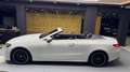 Mercedes-Benz E 300 E Cabrio *SHZ*SLZ*EURO6D*360KAMERA*AMGLINE Alb - thumbnail 15