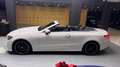 Mercedes-Benz E 300 E Cabrio *SHZ*SLZ*EURO6D*360KAMERA*AMGLINE Weiß - thumbnail 17