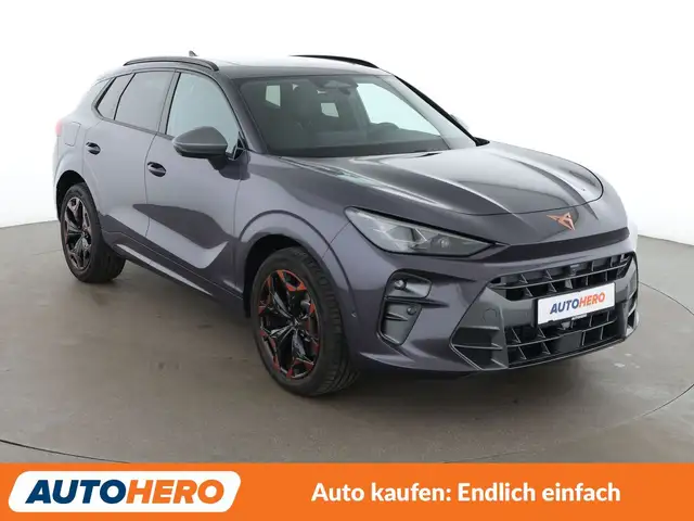 Cupra Terramar view 8