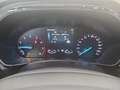 Ford Focus Turnier 1,0 EcoBoost Hybrid ST-Line Grau - thumbnail 10
