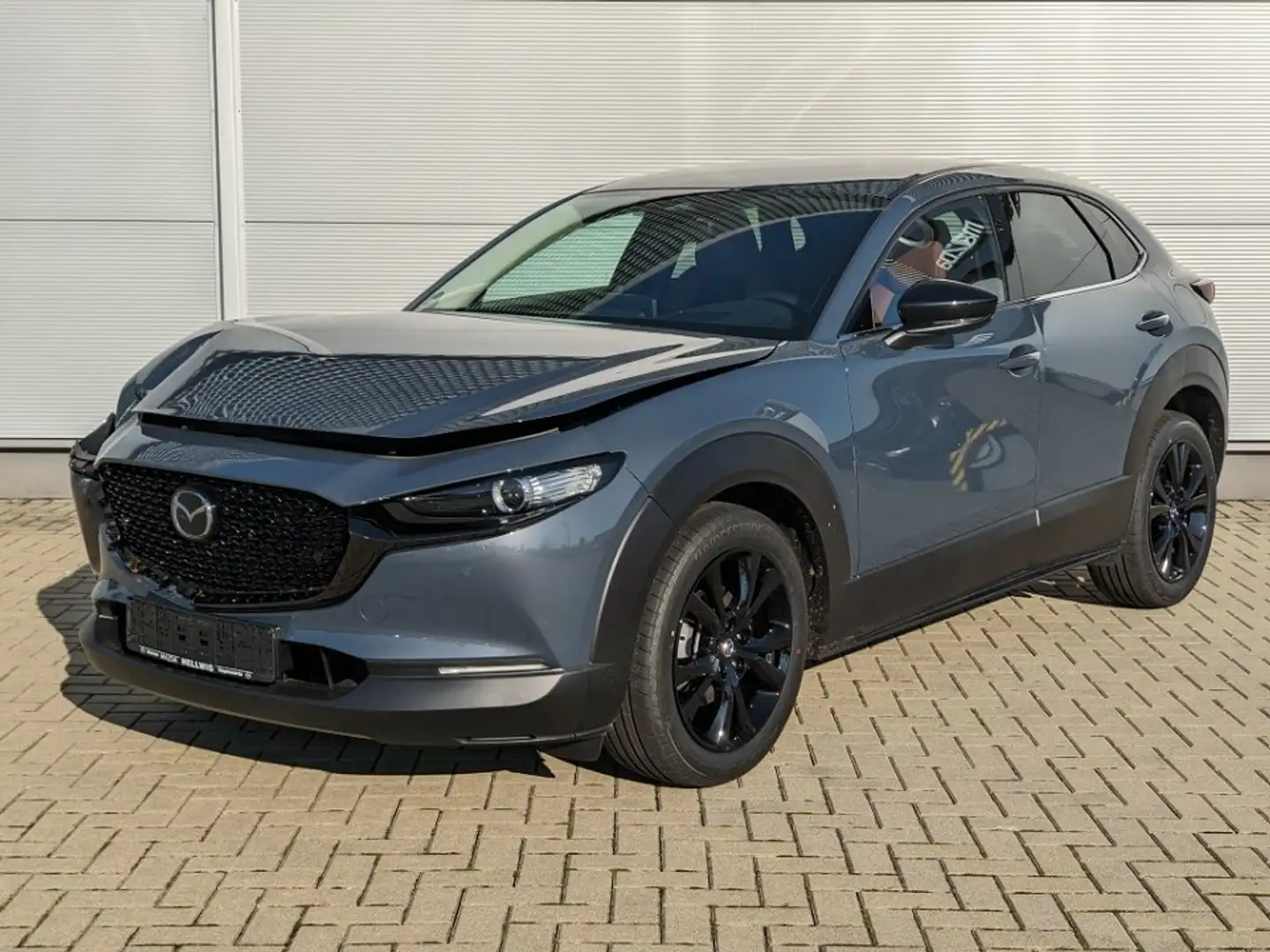 Mazda CX-30 2.5l (140PS) Nagisa Teilleder Bose Navi Grau - 1