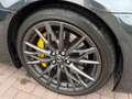 Lexus IS F 2008 5.0 V8 ISF 423PK Carbon Pack Uniek! Collector Grau - thumbnail 16