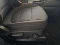 Ford Kuga 2.5 Plug In Hybrid 225 CV CVT 2WD ST-Line Blu/Azzurro - thumbnail 23