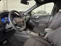 Ford Kuga 2.5 Plug In Hybrid 225 CV CVT 2WD ST-Line Blu/Azzurro - thumbnail 15
