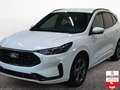 Ford Kuga 2.5 Duratec 180 ch FlexiFuel FHEV E85 Powershift S Blanc - thumbnail 3