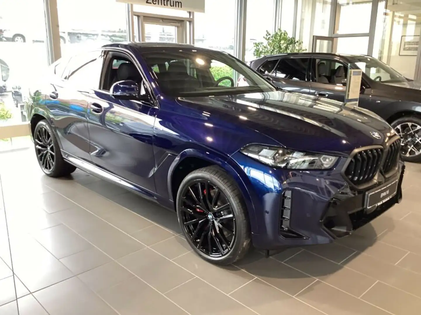 BMW X6 xDrive30d M Sport *M-Sitze* Bleu - 1