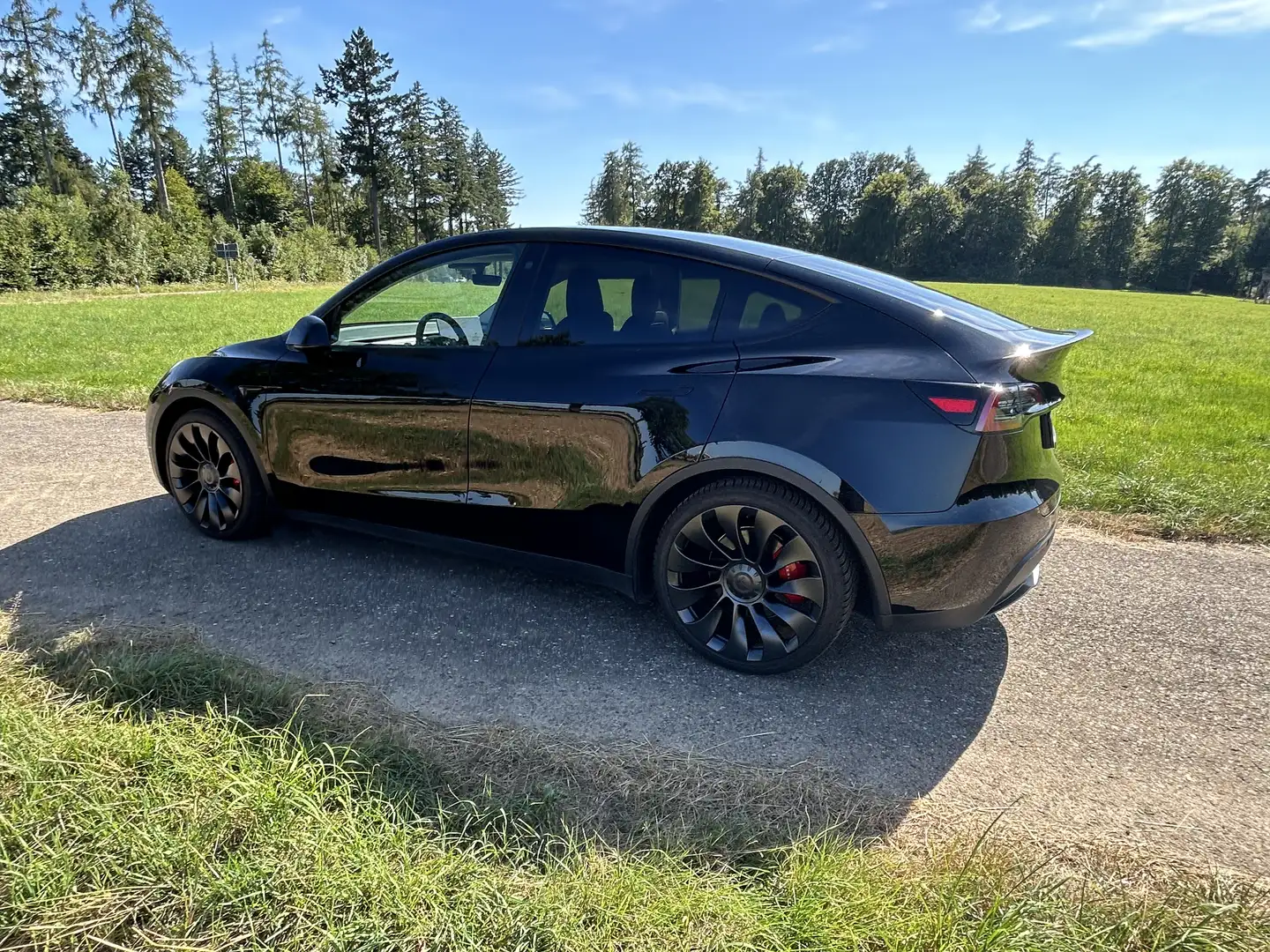 Tesla Model Y Performance Dual Motor AWD Schwarz - 1