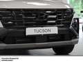 Hyundai TUCSON HEV 1.6 T-GDI 6-AT 4WD NAVI RK PANO Weiß - thumbnail 6