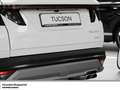 Hyundai TUCSON HEV 1.6 T-GDI 6-AT 4WD NAVI RK PANO Weiß - thumbnail 14