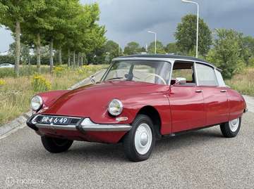 ID 19 P 1963 Snoek