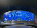 Ford Kuga Kuga 2.0 Ecoblue 120cv ST-Line X 2wd Auto Blu/Azzurro - thumbnail 9