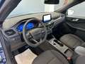 Ford Kuga Kuga 2.0 Ecoblue 120cv ST-Line X 2wd Auto Blu/Azzurro - thumbnail 8