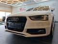 Audi A4 A4 Avant 2,0 TDI Fleet Aut. Fleet Weiß - thumbnail 6