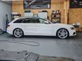 Audi A4 A4 Avant 2,0 TDI Fleet Aut. Fleet Weiß - thumbnail 1