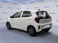 Kia Picanto 1.0 12V 5 porte Urban Bianco - thumbnail 3