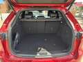 Mazda CX-60 Diesel e-SKYACTIV-D 254 AWD HOMURA PLUS Rot - thumbnail 7